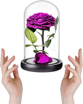 Purple Roses Handmade Rose in Glass Dome, Preserved Flowers Never Withered Romantic Gifts for Her, Mother&