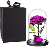 Purple Roses Handmade Rose in Glass Dome, Preserved Flowers Never Withered Romantic Gifts for Her, Mother&