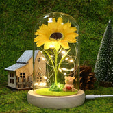 Sunflower Gifts for Women,Birthday Gifts for Her,Artificial Sunflower in Glass Dome with Led Light for Mother&