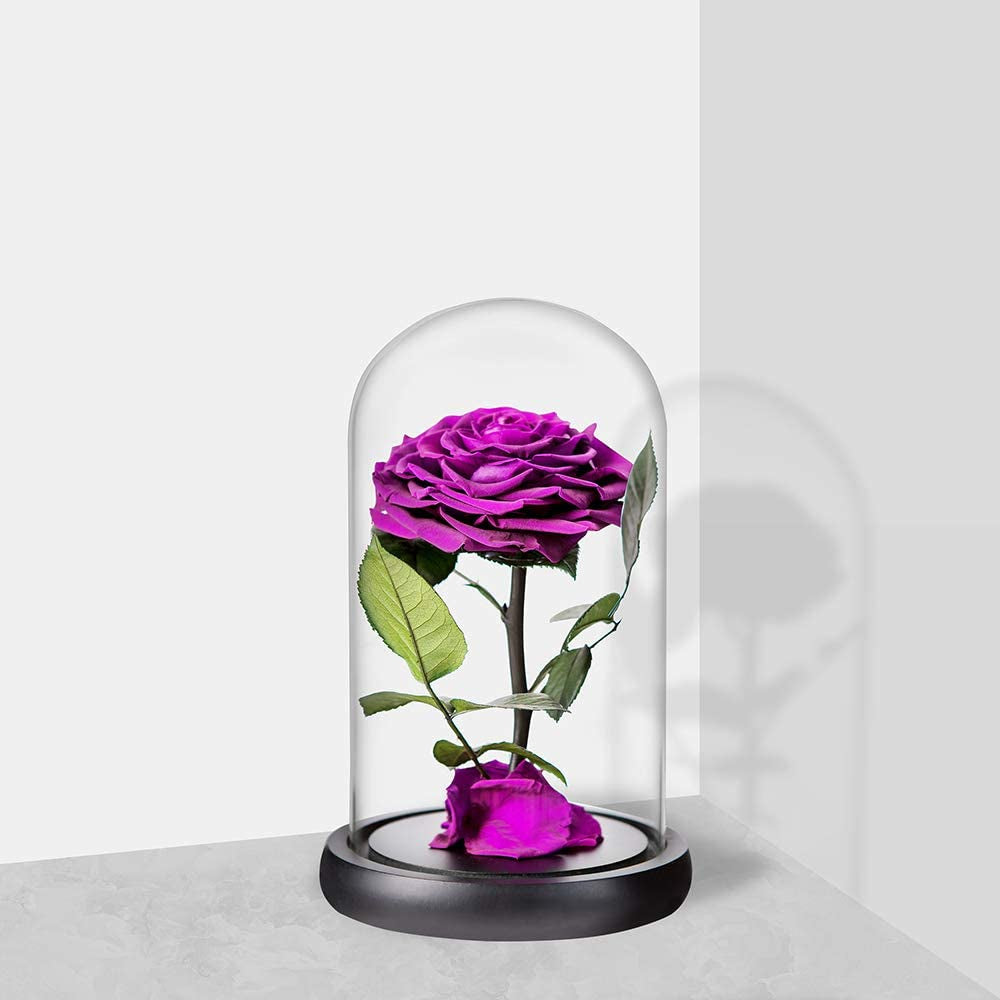 Purple Roses Handmade Rose in Glass Dome, Preserved Flowers Never Withered Romantic Gifts for Her, Mother&