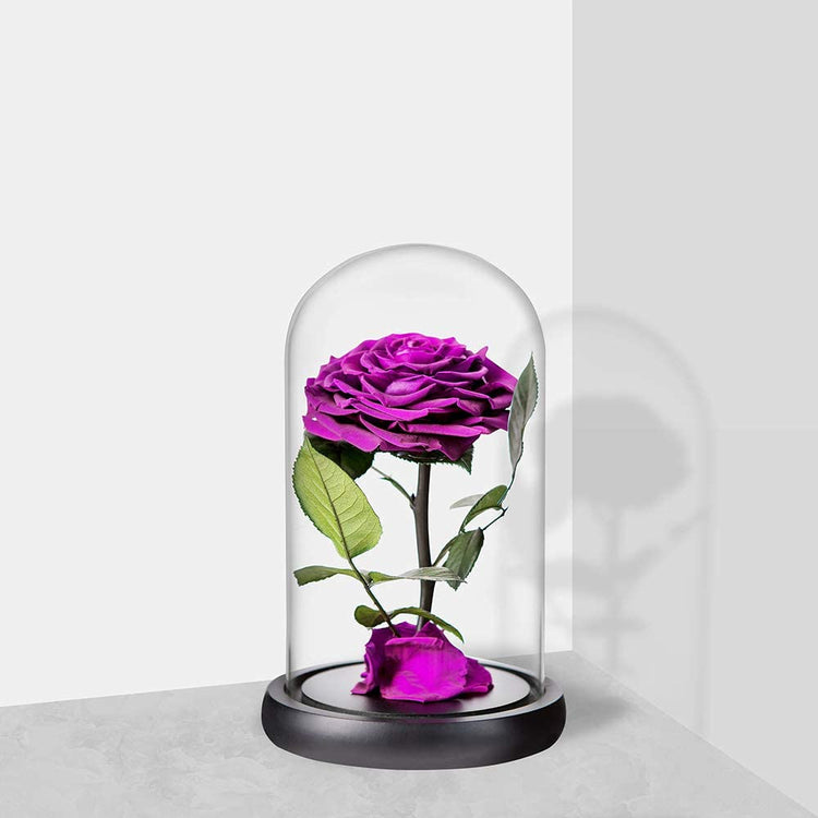 Purple Roses Handmade Rose in Glass Dome, Preserved Flowers Never Withered Romantic Gifts for Her, Mother&