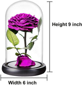 Purple Roses Handmade Rose in Glass Dome, Preserved Flowers Never Withered Romantic Gifts for Her, Mother&