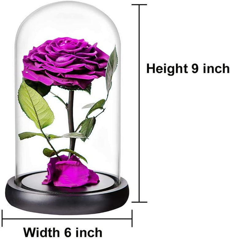Purple Roses Handmade Rose in Glass Dome, Preserved Flowers Never Withered Romantic Gifts for Her, Mother&